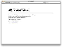 403.html